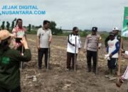 Perkuat Kemandirian Desa, Desa Manunggal Luncurkan Program Ketapang di Lahan 4 Hektare