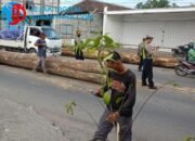 Tali Seling Putus, Dua Kayu Gelondongan Raksasa Melintang di Jalan Raya Driyorejo