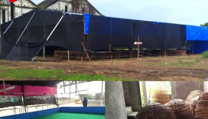 Arena Judi Sabung Ayam Sedati Kembali Eksis, LPK-RI Gresik Desak Ketegasan Aparat Sidoarjo