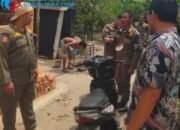 Dampak Limbah Cemari Sumur Warga, Satpol PP Deli Serdang Layangkan Teguran Keras ke Peternak Babi di Helvetia