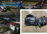 Gerebek Warkop di Menganti, Satreskrim Polres Gresik Sita 2 Kg Serbuk Petasan