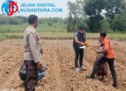 Tragedi Berdarah di Persawahan Tragih, Petani di Sampang Tewas Ditusuk Bambu Berpisau