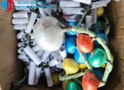 Gerebek Industri Mercon di Palengaan, Polres Pamekasan Sita Ribuan Peledak dan Balon Udara