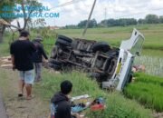 Diduga Mengantuk, Truk Terperosok ke Parit dan Rusak Sawah Warga di Jrengik Sampang