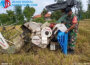 Sinergi TNI-Rakyat, Serka Halik Turun Gunung Kawal Panen Padi di Desa Apaan
