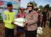 Akselerasi Swasembada 2026, Kapolres Sumenep dan Bhayangkari Tanam Jagung Serentak di Paberasan