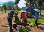 Perkuat Ketahanan Pangan, Babinsa Sidayu Terjun Langsung Bantu Petani Sukorejo