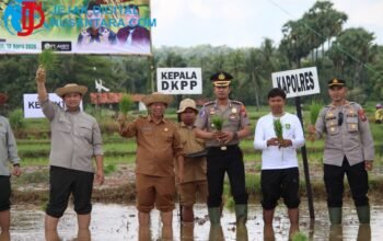 Lawan Dampak El Nino, Kapolres Sumenep Turun ke Sawah Dorong Percepatan Tanam di Batang-Batang