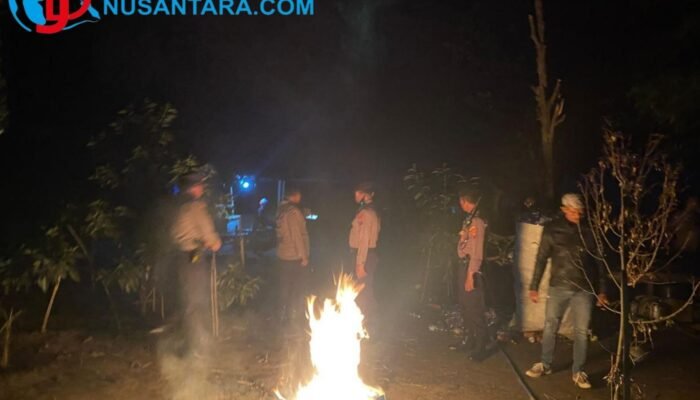 Polisi Gerebek Arena Judi Sabung Ayam di Plemahan, Sejumlah Sarana Disita