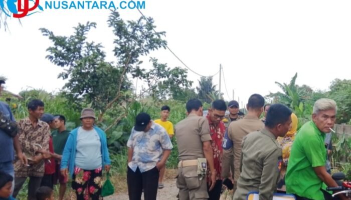 Abaikan Aturan Tata Ruang, Satpol PP Deli Serdang Layangkan Surat Peringatan Kedua Pengosongan Ternak Babi di Helvetia