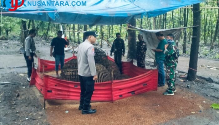Gempur Perjudian, Aparat Gabungan Bongkar dan Bakar Fasilitas Judi Ayam di Jombang