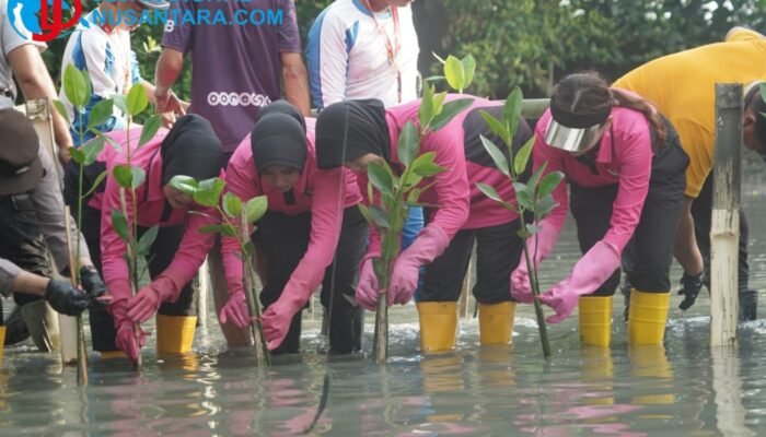 Cegah Abrasi di Pesisir Surabaya, YKB Tanjung Perak Hijaukan Lahan Kritis dengan Mangrove