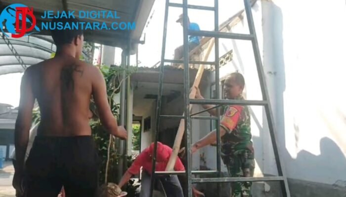 Aksi Nyata TNI: Babinsa Bendogrit Bedah Atap Rumah Lansia yang Bocor