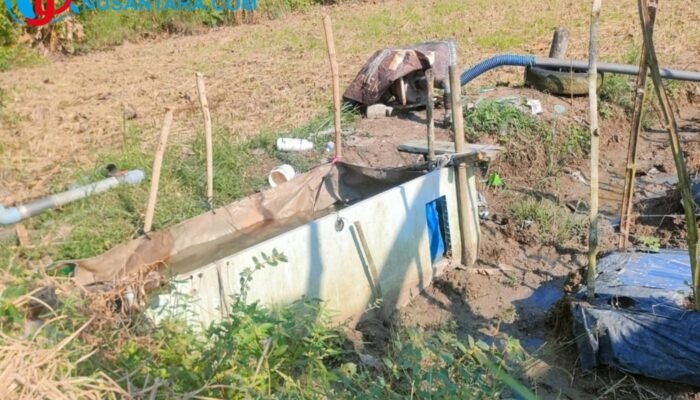 Dugaan Pengeboran Sumur Ilegal dan Pembalakan Liar Marak di Kawasan Hutan KPH Mojokerto
