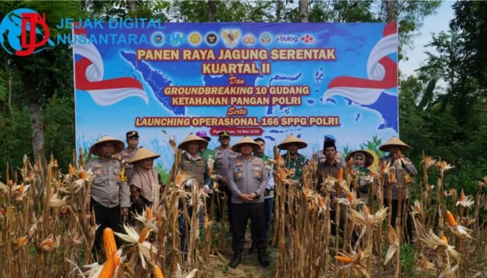 Sinergi Polri dan Kementan, Polres Pamekasan Gelar Panen Jagung Serentak di Palengaan