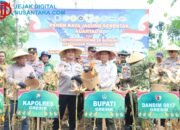 Sinergi Ketahanan Pangan, Polres Gresik Panen 80 Ton Jagung di Panceng dan Pasok Bantuan Petani