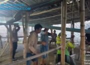 Diduga Jadi Ajang Judi, Arena Balap Kelereng di Sampang Dibongkar Polisi