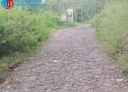 Bertahun-tahun Rusak dan Gelap Gulita, Akses Klakah–Desa Galih Pasuruan Dikeluhkan Warga