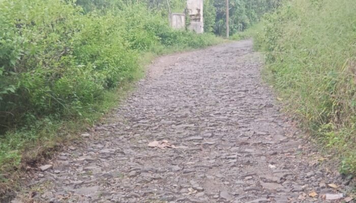 Bertahun-tahun Rusak dan Gelap Gulita, Akses Klakah–Desa Galih Pasuruan Dikeluhkan Warga