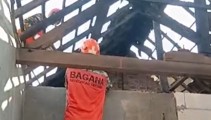 Kebakaran di Desa Grinting Sidoarjo, Rumah Suliyadi Hangus, Kerugian Capai Puluhan Juta