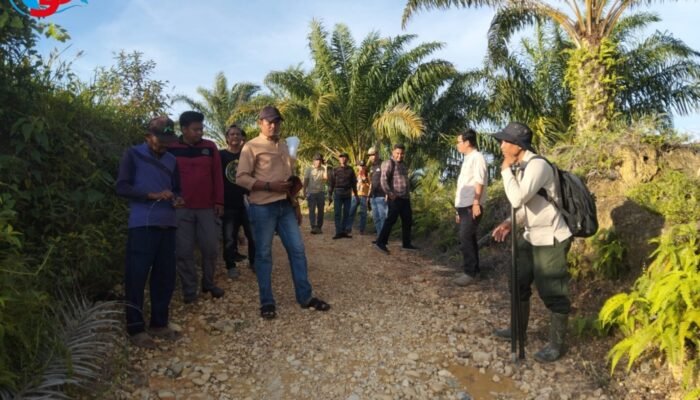 Diduga Tak Transparan Tentukan Koordinat Batas, Kinerja Juru Ukur BPN Aceh Singkil Dikeluhkan Warga