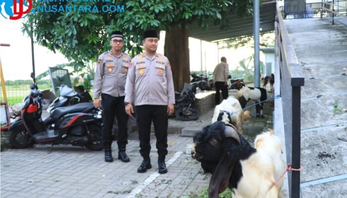 Sambut Iduladha 1447 H, Polres Gresik Salurkan 15 Sapi dan 76 Kambing untuk Masyarakat