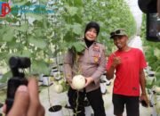 Sinergi Polri dan Petani Milenial: Kabag SDM Polres Sumenep Tinjau Panen Melon Smart Farming di Kasengan