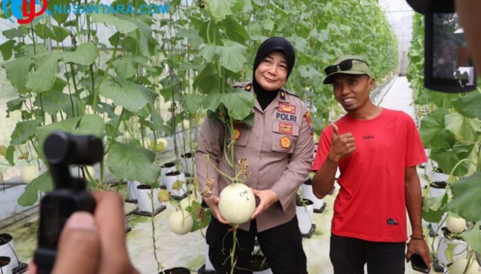 Sinergi Polri dan Petani Milenial: Kabag SDM Polres Sumenep Tinjau Panen Melon Smart Farming di Kasengan