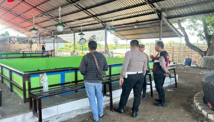 Penggerebekan Arena Sabung Ayam di Candi Sidoarjo Tanpa Tersangka, Transparansi Polisi Dipertanyakan