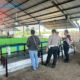 Penggerebekan Arena Sabung Ayam di Candi Sidoarjo Tanpa Tersangka, Transparansi Polisi Dipertanyakan