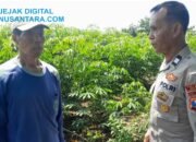 Kawal Swasembada Pangan, Polsek Ujungpangkah Monitoring Langsung Lahan Jagung di Desa Bolo