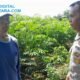 Kawal Swasembada Pangan, Polsek Ujungpangkah Monitoring Langsung Lahan Jagung di Desa Bolo