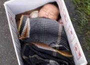 Penemuan Bayi Laki-Laki di Perbatasan Sampang-Bangkalan Gegerkan Warga
