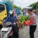 Unik! Satlantas Polres Sampang Edukasi Tertib Lalu Lintas Sambil Bagi-Bagi Sayuran Hasil Kebun P2L