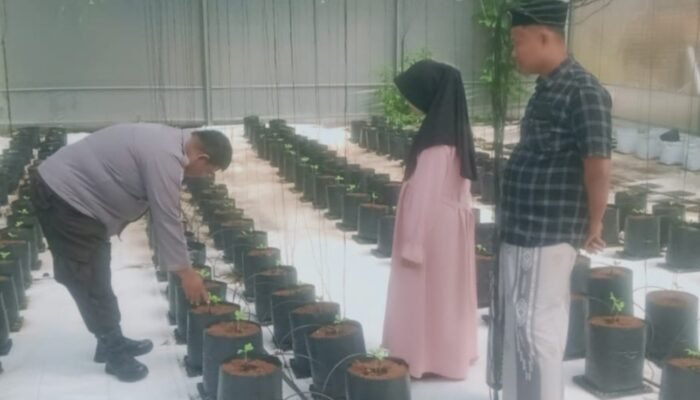 Dukung Asta Cita, Polsek Batang-Batang Sumenep Pantau Budidaya Melon Pertiwi