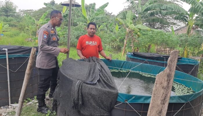 Sokong Asta Cita Presiden, Polsek Kebomas Pantau Budidaya Lele di Sekarkurung