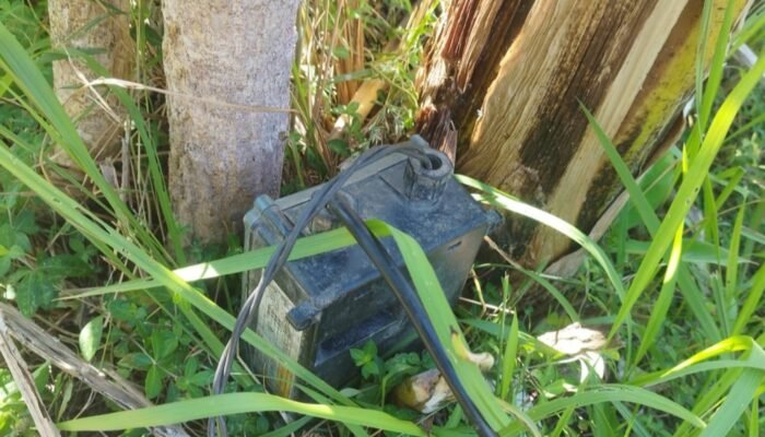 Diduga Tersengat Listrik saat Siram Tembakau, Warga Batuputih Sumenep Ditemukan Tewas di Penampungan Air