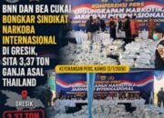 BNN dan Bea Cukai Bongkar Penyelundupan 3,37 Ton Ganja Thailand di Gresik, 12 Tersangka Ditangkap