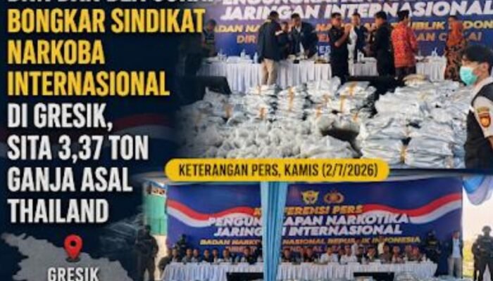 BNN dan Bea Cukai Bongkar Penyelundupan 3,37 Ton Ganja Thailand di Gresik, 12 Tersangka Ditangkap