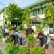 Panen Kebersamaan di Makorem, Danrem Bhaskara Jaya Buktikan Lahan Sempit Mampu Dukung Kemandirian Pangan