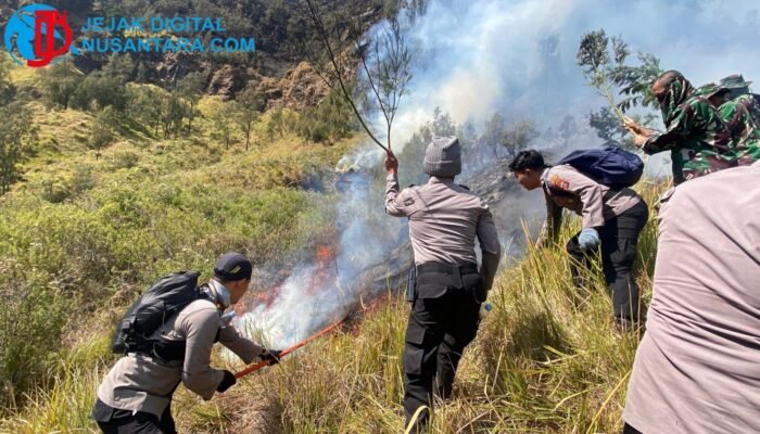 Kebakaran di Lereng Gunung Bromo, Polres Probolinggo dan Tim Gabungan Diterjunkan