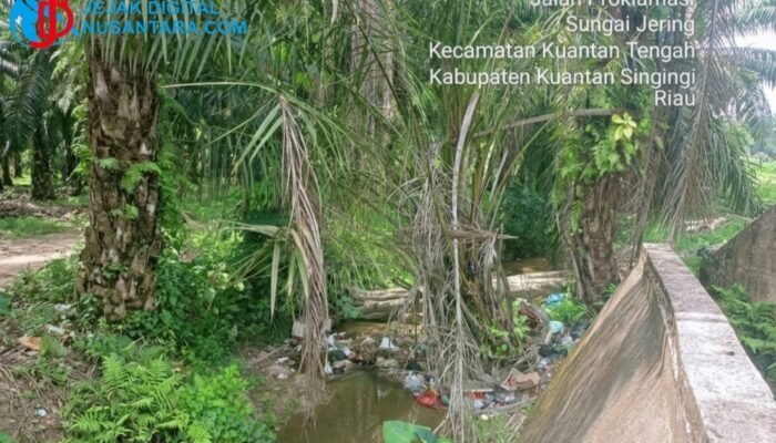 Puluhan Tahun Tak Tersentuh Pengerukan, Anak Sungai di Snambek Teluk Kuantan Dipenuhi Sampah dan Dangkal