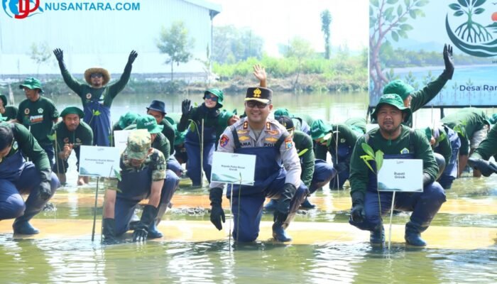 Sinergi Cegah Abrasi: Polres Gresik, Forkopimda, dan PT Smelting Tanam 10.000 Mangrove di Randuboto