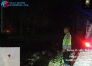 Lahan Bambu dan Jati Milik Anggota DPRD Sampang Terbakar, Diduga Akibat Pembakaran Sampah