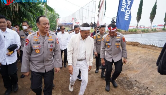 Upaya Menuju Swasembada, Wakapolri Pimpin Penanaman Perdana Bawang Putih Serentak di Jawa Barat