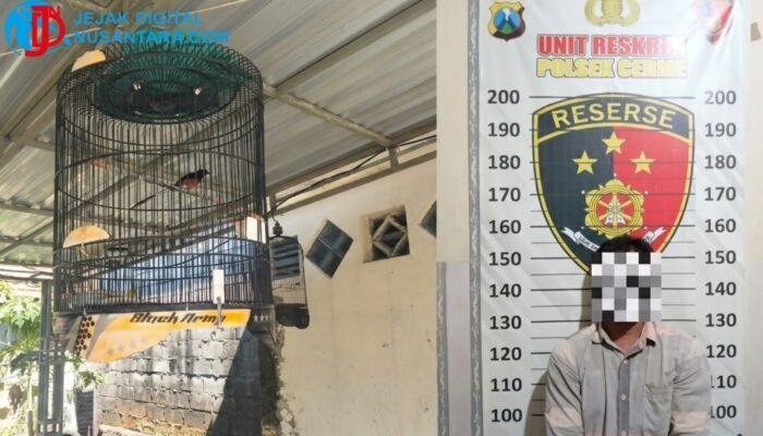 Diduga Beraksi di 4 TKP Gresik dan Surabaya, Pencuri Burung Murai Batu Ditangkap Warga Cerme