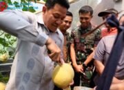 Bupati Subandi Resmikan Wisata Petik Melon Hydroponik BUMDes Candinegoro Sidoarjo