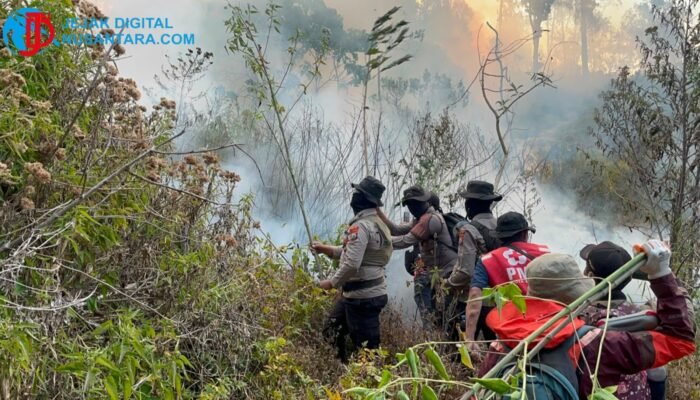 Kebakaran Gunung Buthak Membesar, Helikopter Water Bombing Dikirim ke Petak 100