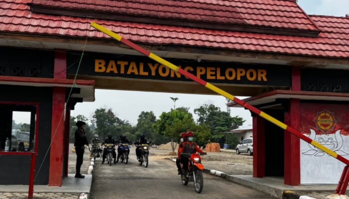 Patroli Terpadu di Tebo: Brimob Polda Jambi Amankan Habitat Gajah dari Ancaman Karhutla