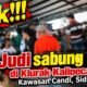 Dugaan Judi Sabung Ayam Marak di Perbatasan Klurak-Kalipecabean Sidoarjo, APH Didesak Turun Tangan